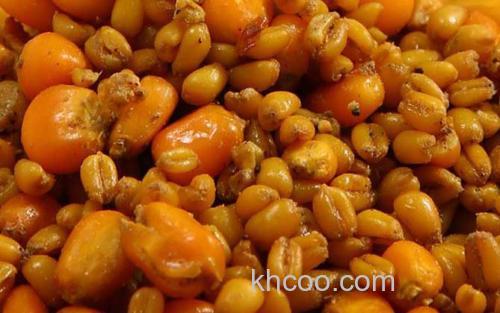 发酵五谷杂粮_1