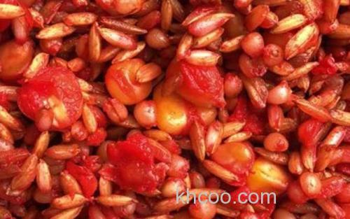 发酵五谷杂粮_1