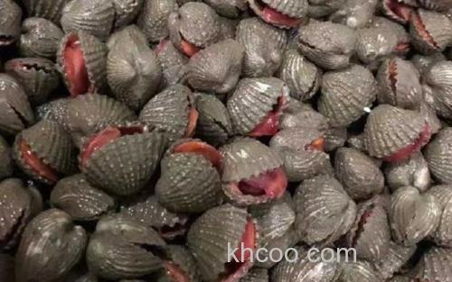 蚶子_2