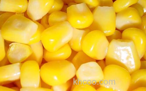 新鲜玉米_1