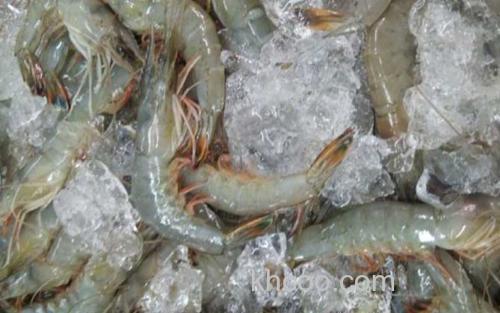 对虾_2