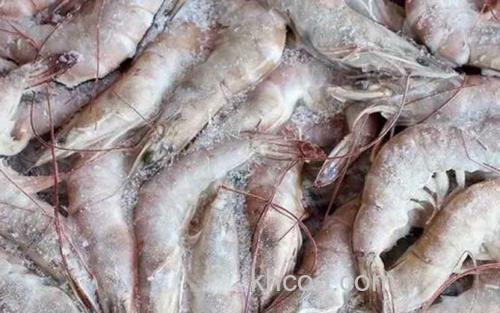 海白虾_1
