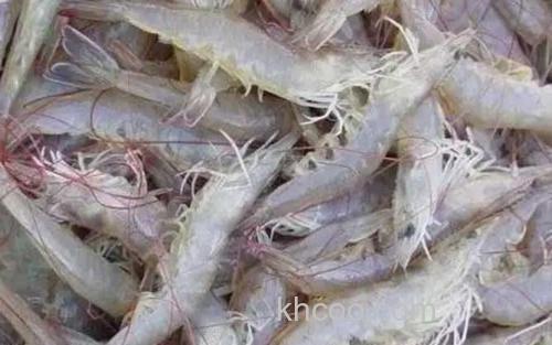 白对虾_1
