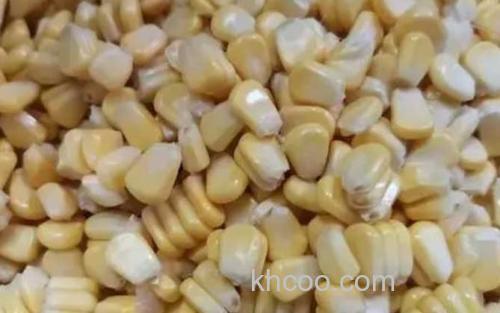 新鲜玉米_3