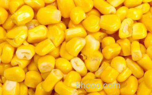 玉米_2