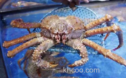 帝王蟹_2