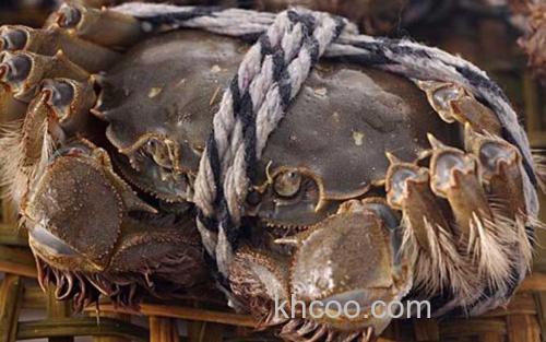 阳澄湖大闸蟹_2