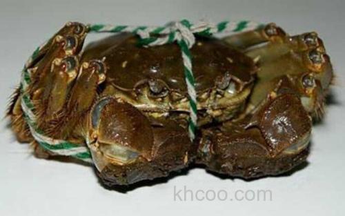 梁子湖大闸蟹_1