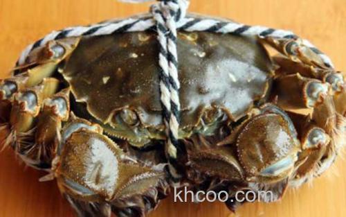 梁子湖大闸蟹_3