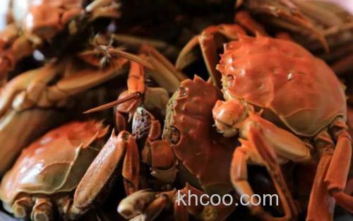 洪泽湖大闸蟹_1