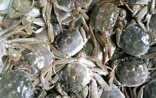 洪泽湖大闸蟹_2