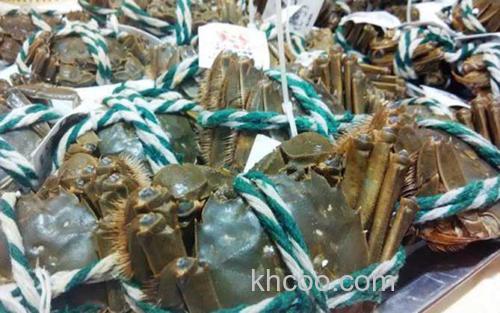 洪泽湖大闸蟹_3