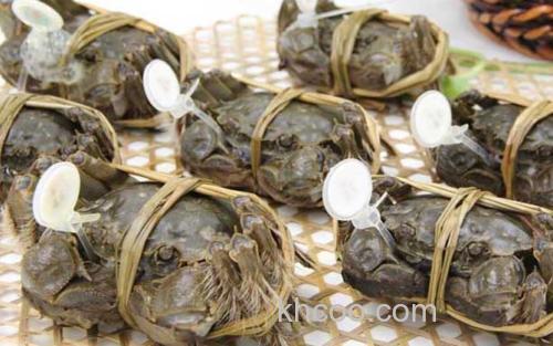 固城湖大闸蟹_1