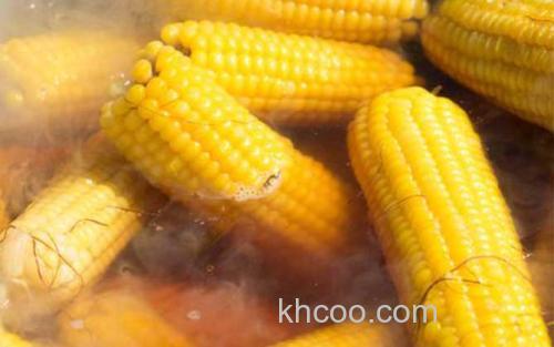 玉米_1