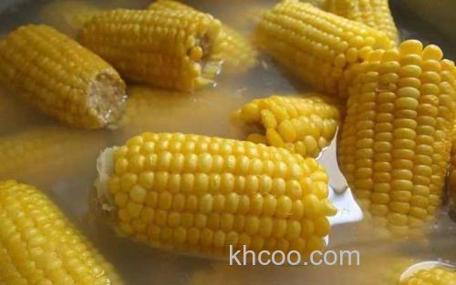 玉米_3
