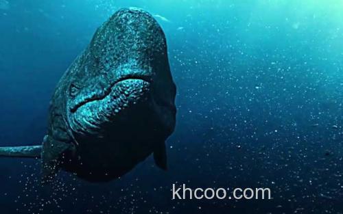 梅氏利维坦鲸_0