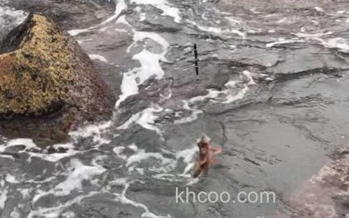 矶竿滑漂线组_0