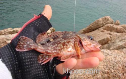 矶竿滑漂线组_3