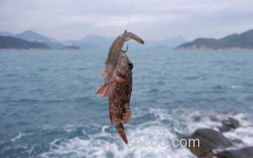 海钓_2
