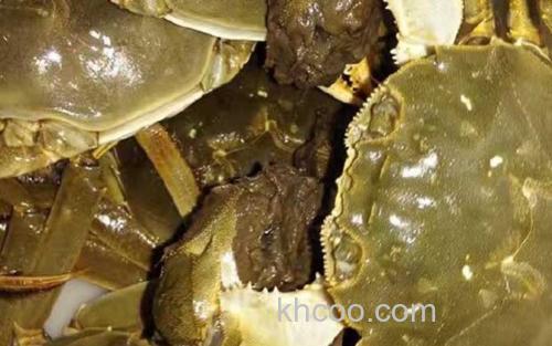 阳澄湖大闸蟹_1