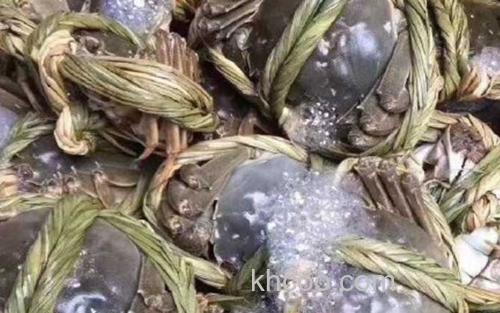 大闸蟹_1