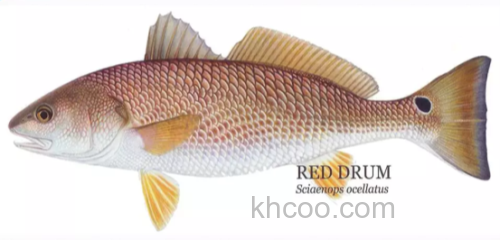 提升所有拟饵着钩率的秘密！！作弊般的技术！_4