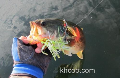 Spinnerbaits与Buzzbaits是什么玩意儿，肿么用_0