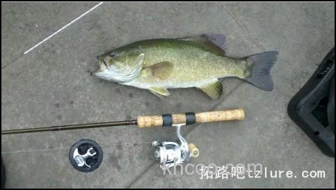国内路亚钓的一些实战经验小谈_2
