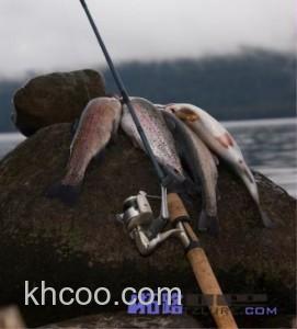 闲谈鳟鱼马口竿的选择_0