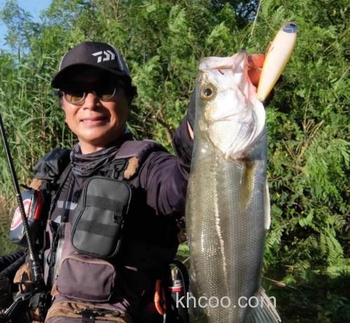 小沼正弥監修 DAIWA SHORELINE SHINER-Z SETUPPER FULLBACK 125SDR 海鲈用饵_0