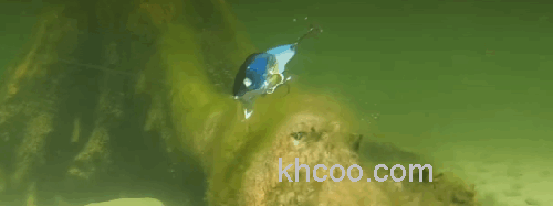 亮片+胖子 浪刻 Glitech Blade_2