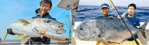 青物应对！shimano screwdrive 180F 青物whopper_4