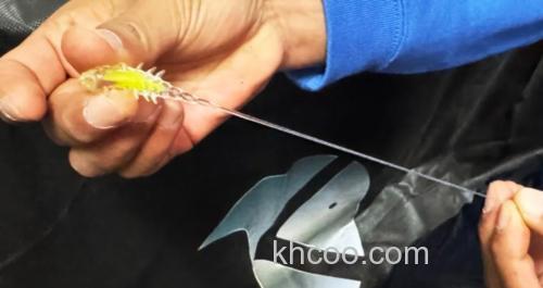 耐用且自然 Dranckrazy Pollywog 2inch T尾_3