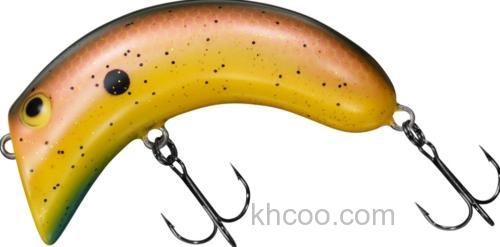 苗条的水表系小腰果！DAIWA CASHEW NUT_0