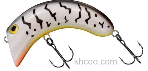 苗条的水表系小腰果！DAIWA CASHEW NUT_1