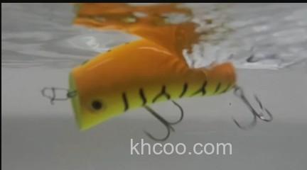 苗条的水表系小腰果！DAIWA CASHEW NUT_3