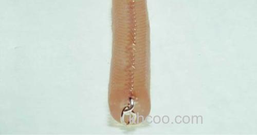 耐用性UP！！HIDEUP chain worm内置链条面条虫_0