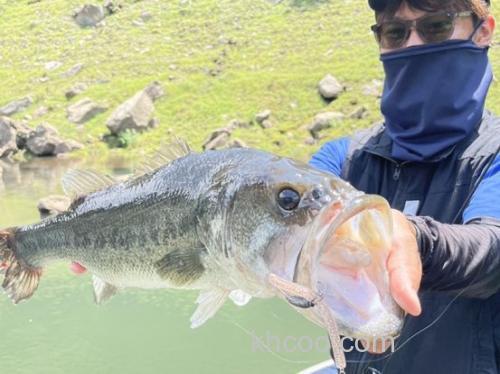 耐用性UP！！HIDEUP chain worm内置链条面条虫_3