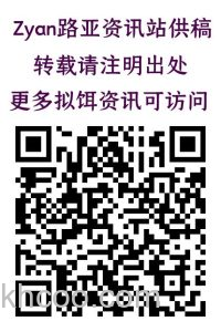 北美针对性款式！DUO Realis USA RAZ抽停米诺_6