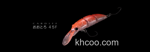 SHIMANO cardiff 大鸟丸 & DIVERISE 新品管钓鳟鱼米诺_0