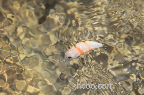 SHIMANO cardiff 大鸟丸 & DIVERISE 新品管钓鳟鱼米诺_2