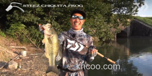 秘密武器小蛙！daiwa Steez Chiquita Frog 超紧凑小鲈蛙_0