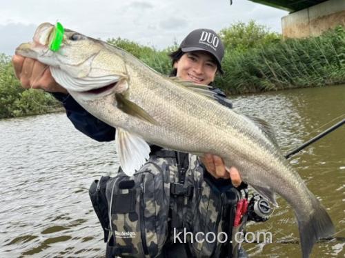 压倒性吸引力！！DUO 24新品 Bay Ruf BULK 浮水铅笔vib_5