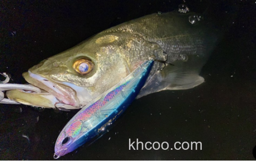 压倒性吸引力！！DUO 24新品 Bay Ruf BULK 浮水铅笔vib_7