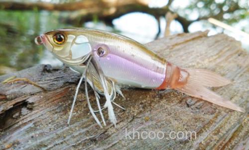 侧滑之鱼 jackall 24 Slick Bail_1