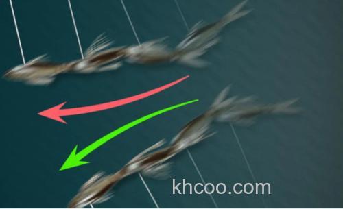 侧滑之鱼 jackall 24 Slick Bail_2