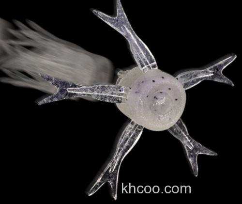 动态逃脱的吸引力！ JACKALL Jimmy Henge 42 Power Salt 高比重小物_2