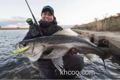 远投！小！造波！！shimano Counterwake 80F 海鲈造波米诺_4