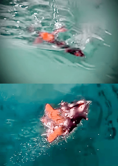 imakatsu 2024新饵（1）_2