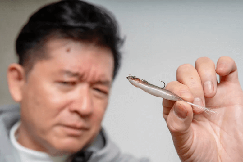 imakatsu 2024新饵（1）_4